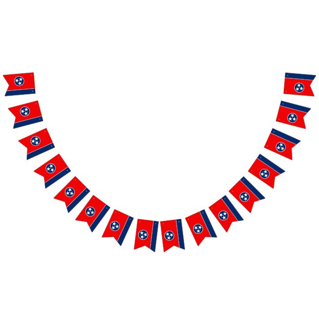 Dynamic Tennessee State Flag Graphic on a (All)