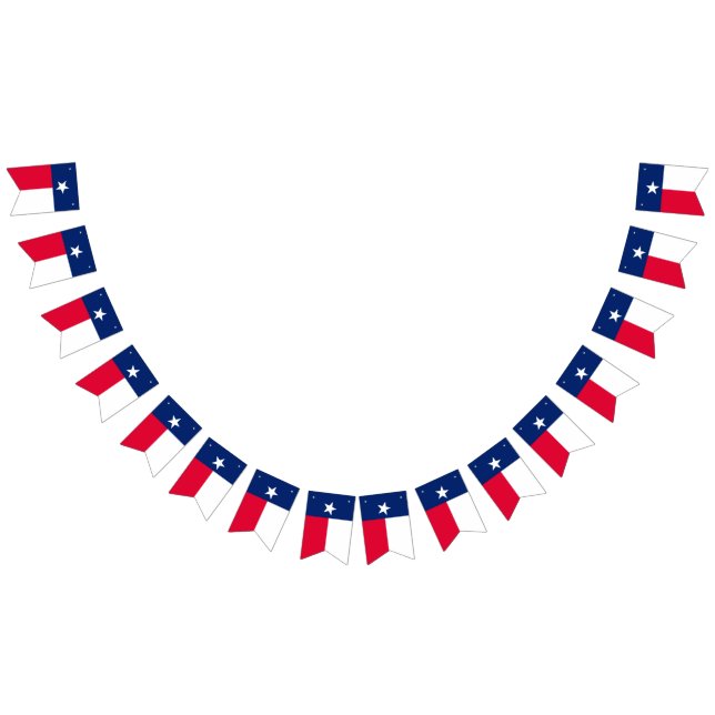 Dynamic Texas State Flag Graphic on a (All)
