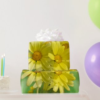 Dynamic Yellow Sunshine Daisies