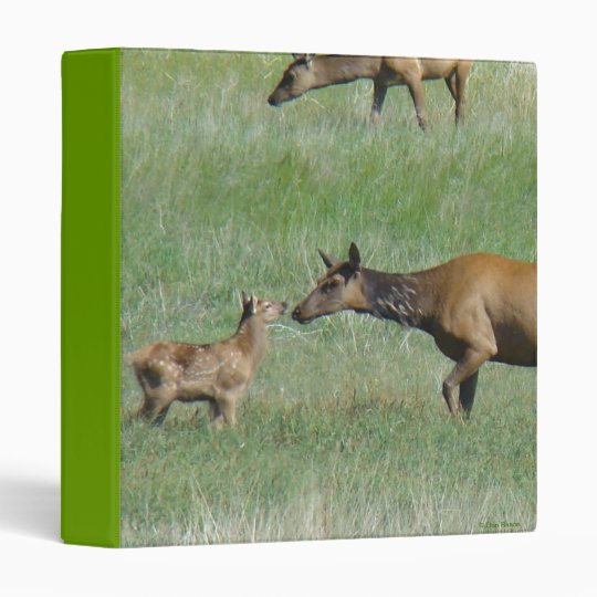 E0003 Cow Elk and Calves binder