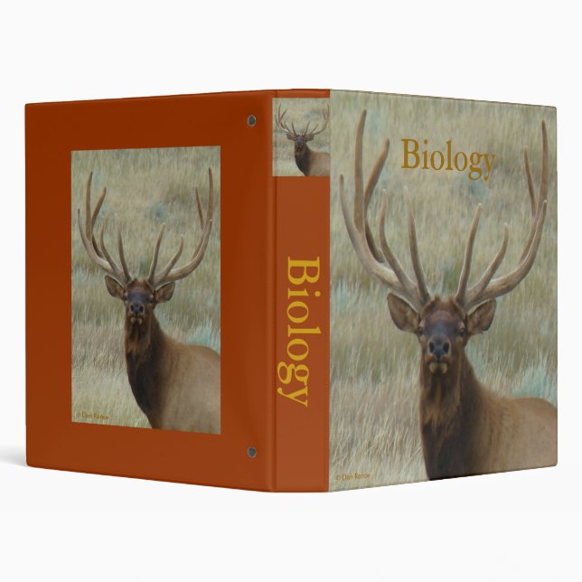 E10 Bull Elk in Velvet Head Binder (Background)