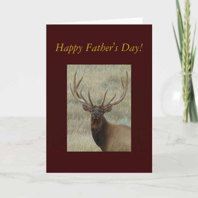 E10 Bull Elk in Velvet Head Shot Card (Front)