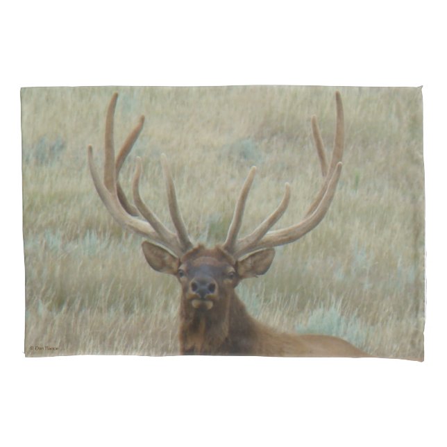 E10 Bull Elk in Velvet Head Shot Pillow Case (Front)