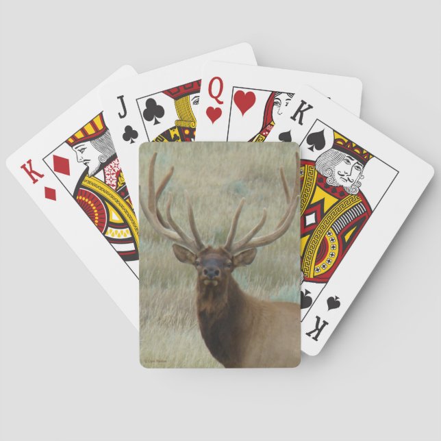 E10 Bull Elk in Velvet Head Shot Poker Cards (Back)