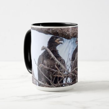 E10 & E11 Coffee Mug (various Options Available) by SWFLEagleCam at Zazzle