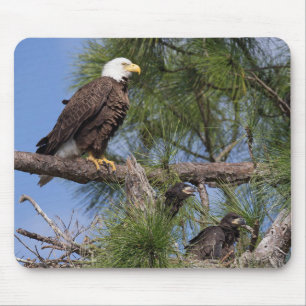 E10 & E11 Computer Mouse Pad