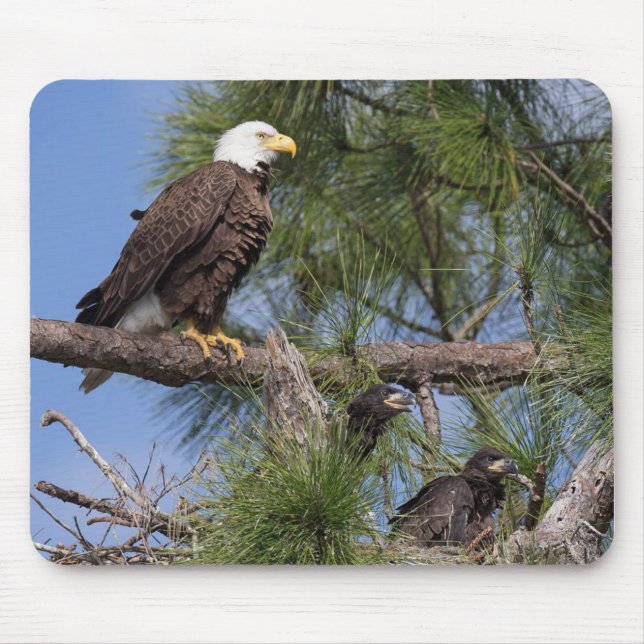 E10 & E11 Computer Mouse Pad (Front)