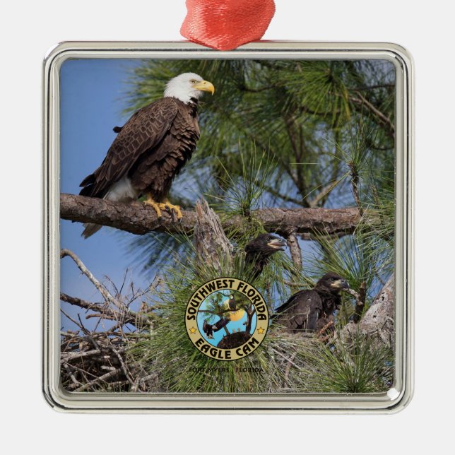 E10 E11 & Family Holiday Ornament (Front)