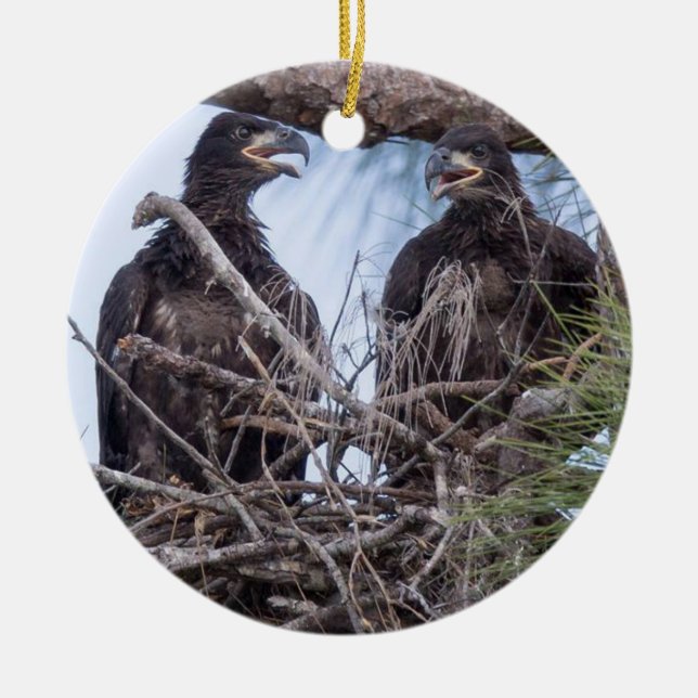 E10 & E11Ornament Ceramic Ornament (Front)