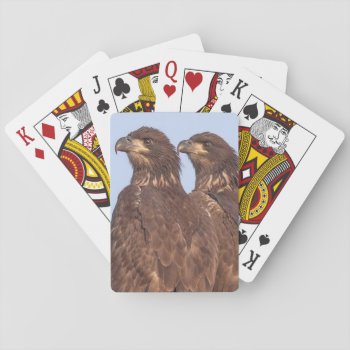 E17 & E18 Playing Cards by SWFLEagleCam at Zazzle
