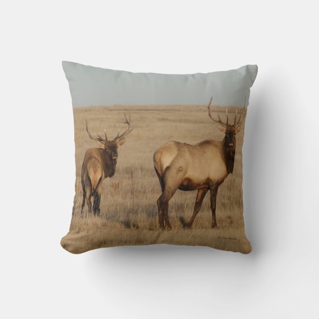 E1 Bull Elk Throw Pillow (Front)
