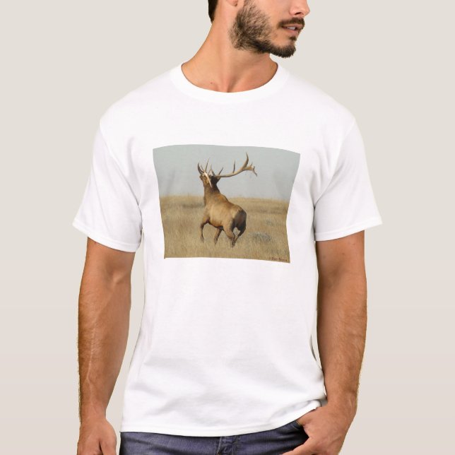 E23 Bull Elk Grass in Horns T-Shirt (Front)