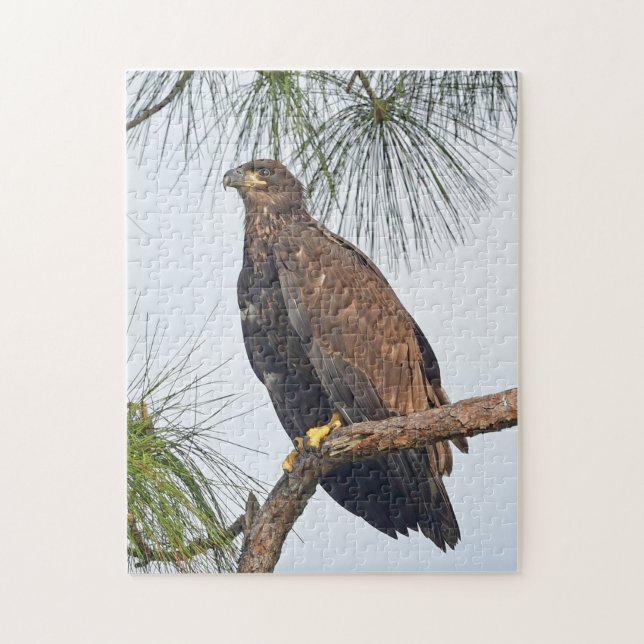 E23 SWFL Eagle Cam Puzzle  (Vertical)