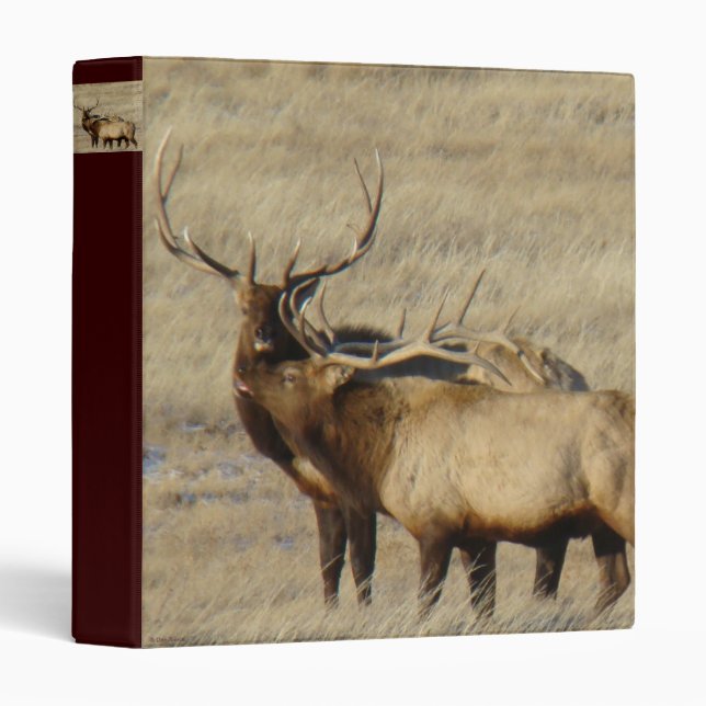 E24 Bull Elk 3 Ring Binder (Front/Spine)