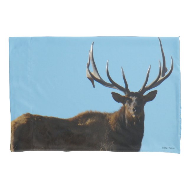 E27 Bull Elk Sky Lined Pillow Case (Front)