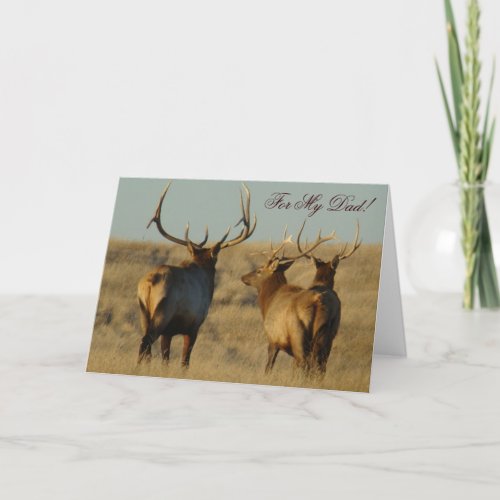 E28 Bull Elk Card