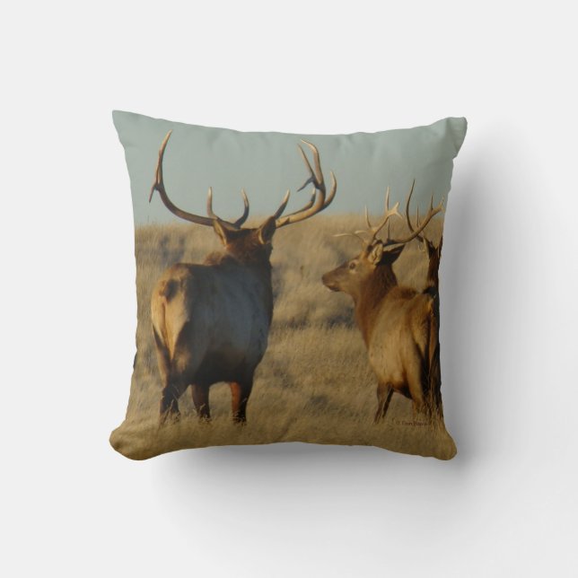E28 Bull Elk Throw Pillow (Front)