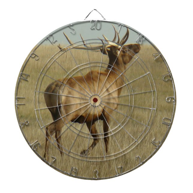 E35 Bull Elk Grass in Horns Dart Board (Front)