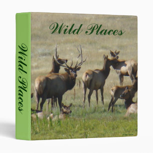 E36 Bull Elk and Cows Binder