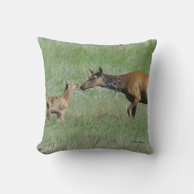 E3 Cow and Calf Elk Nose to Nose Throw Pillow (Front)