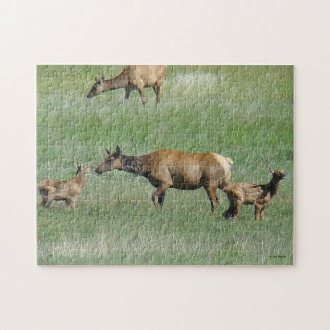 E3 Cow Elk and Calves Nose to Nose Jigsaw Puzzle (Horizontal)