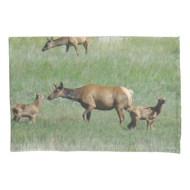 E3 Cow Elk and Calves Nose to Nose Pillow Case (Front)