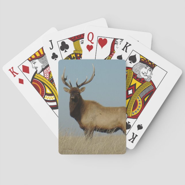 E43 Bull Elk Sky Lined Poker Cards (Back)