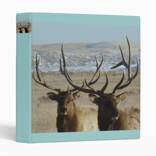 E45 Bull Elk Heads Binder (Front/Spine)