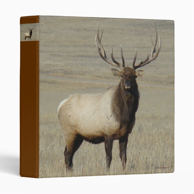 E46 Bull Elk 3 Ring Binder (Front/Spine)