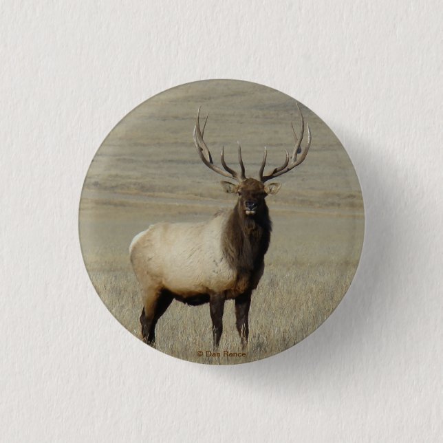 E46 Bull Elk Big Bull Button (Front)