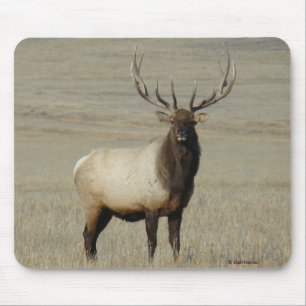 E46 Bull Elk Big Bull Mouse Pad