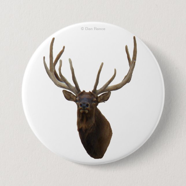 E48 Bull Elk Head in Velvet Button (Front)