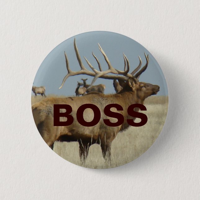 E4 Bull Elk Button (Front)