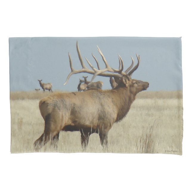 E4 Bull Elk Herd Master Pillow Case (Front)