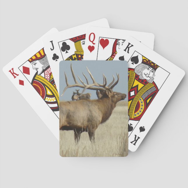 E4 Bull Elk Herd Master Poker Cards (Back)