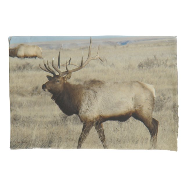 E55 Bull Elk Big Bull by River Hills Pillow Case (Front)