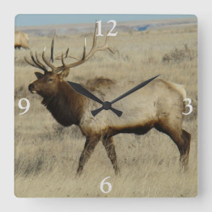 E55 Bull Elk Big Bull Square Wall Clock