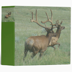 E56 Bull Elk in Velvet Binder