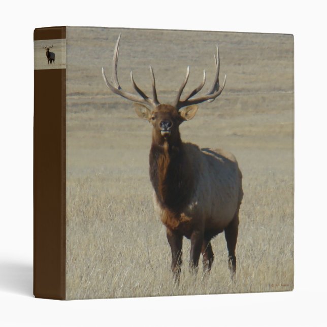 E59 Bull Elk 3 Ring Binder (Front/Spine)