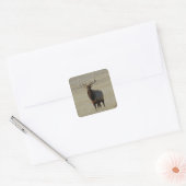 E59 Bull Elk Huge Bull Square Sticker (Envelope)