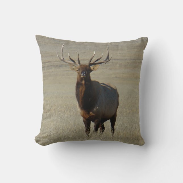 E59 Bull Elk Throw Pillow (Front)