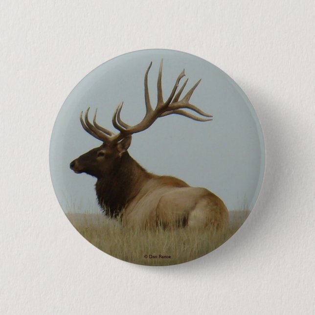 E5 Bull Elk Big Bull Pinback Button (Front)