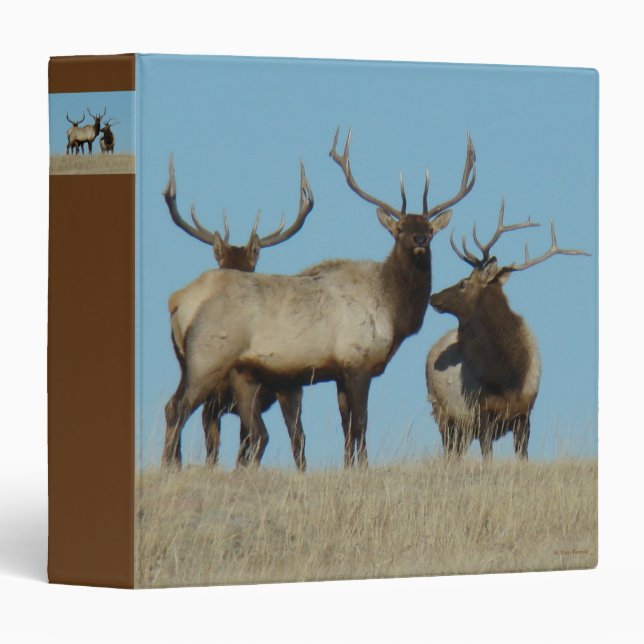 E60 Bull Elk Sky Lined Binder (Front/Spine)