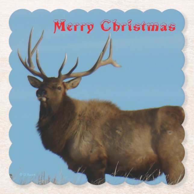 E62 Bull Elk and Blue Sky Coaster (Front)