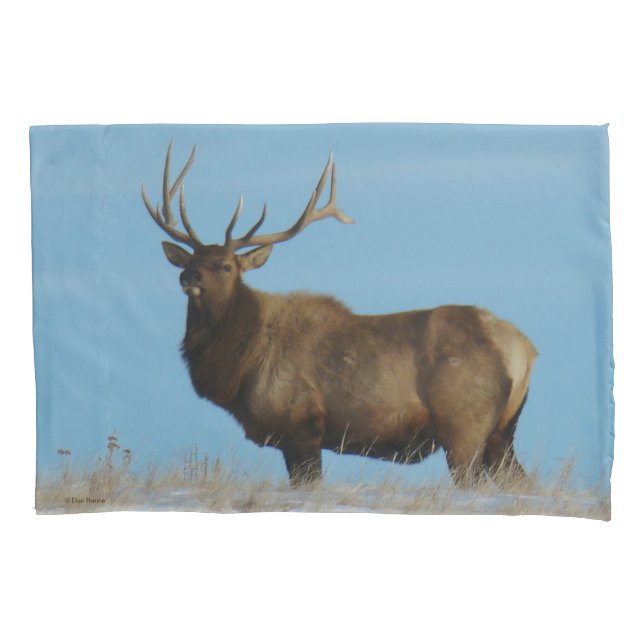 E62 Bull Elk Sky Lined Pillow Case (Front)