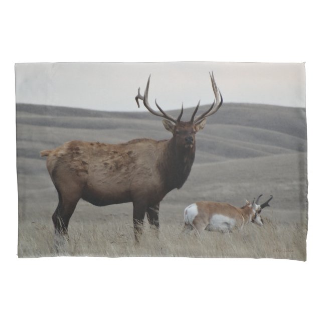 E63 Bull Elk and Antelope Buck Pillow Case (Front)