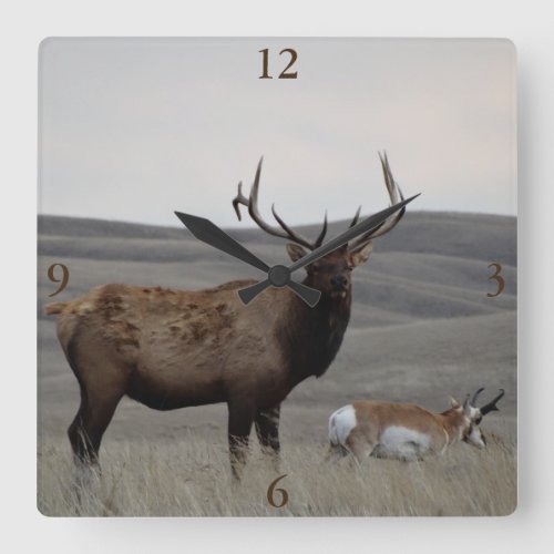 E63 Bull Elk and Pronghorn Antelope Square Wall Clock