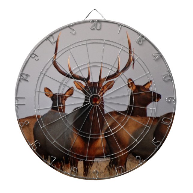 E66 Bull Elk and Cows Dart Board (Front)