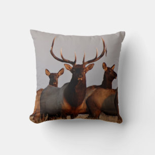 E66 Bull Elk and Cows Throw Pillow