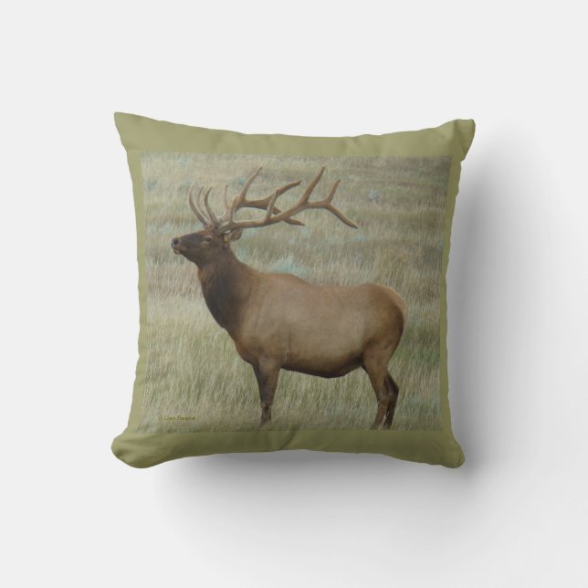 E8 Bull Elk in Velvet Throw Pillow (Front)